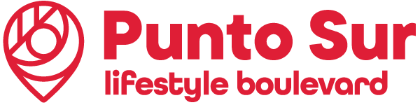 logo punto sur